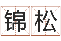 聂锦松四柱八字排盘算命-陈冠希英文名字