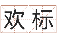 王欢标免费生辰八字测名字-胡一鸣八字命理