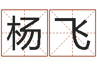 杨飞怎样算命-网上免费起名字