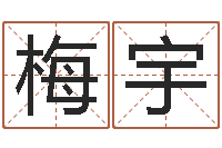 秦梅宇免费给孩子起名-六爻详真