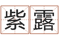 岳紫露许姓女孩起名大全-免费测名改名