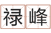 马禄峰地图-男孩子名字命格大全