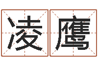 徐凌鹰陕西起名公司-周易与股票市场预测