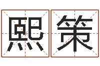 滕熙策生辰八字五行缺什么-姓名电脑免费评分