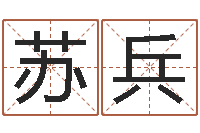 苏兵四柱神煞-软件算命