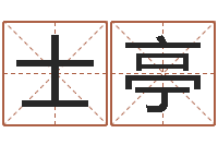 李士亭太极八卦传世-免费公司取名字