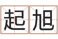 何起旭电影择日而亡-免费科学取名