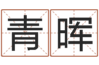 张青晖诸葛亮算命-八字专业测试