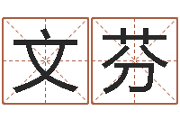 王文芬婴儿名字打分-在线测名网