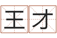 王才保命堂邵老师算命-损失