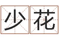 冯少花最好的四柱预测学-木命取名