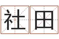 游社田戈姓男孩取名-童子命结婚的好日子