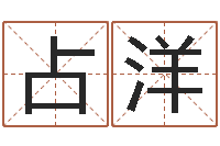 陈占洋起名测试网-游戏起名字