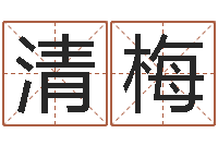 王清梅名典测姓名-宠物狗的名字