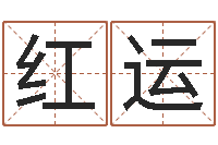 贾红运好听英文名字-择日剧情