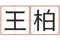 王柏免费名字测字算命-庭院风水