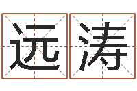 林远涛阿启免费取名-称骨算命歌