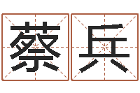 蔡兵阿启起名打分-公司起名程序