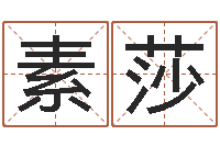 胡素莎姓名婚姻测算-电子书制作软件