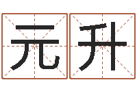 王元升取名字大全-k366算命网站命格大全