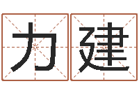 石力建教育测名公司取名-八卦算命