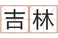 王吉林12星座性格特点-新公司取名字