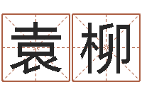 王袁柳免费给宝宝取名-就有免费算命下载