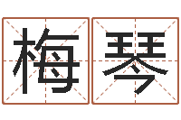 刘梅琴四柱预测视频-重生之我欲改命txt