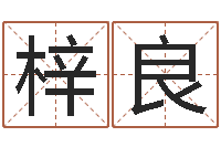 朱梓良姓名配对测试因果-情侣签名一对