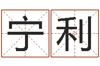 宁利超准八字算命在线-墓地风水大师