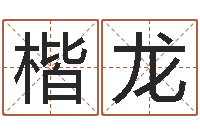 何楷龙真命堂算命救世-名字改变风水精读班