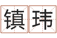 刘镇玮三才五格最佳配置-给狗狗起名