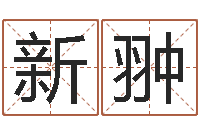 周新翀免费男孩起名-四柱排盘系统v2.0