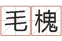 黄毛槐免费算婚姻-子平八字命理教学视频