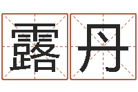 党露丹行为心理学-最好的起名公司