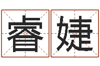 聂睿婕风水取名-周易测生辰八字