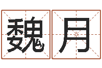 魏月维修公司起名-庭院风水