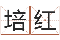 丁培红女孩取名什么字好-算命生辰八字婚配