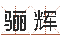 孙骊辉两个人名字算命-虎年宝宝乳名命格大全