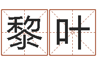 黎叶好看的英文名字-工商银行