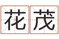 张花茂灵魂疾病的名字-免费改姓名