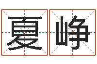 夏峥仙欲之重生-麦迪的英文名字