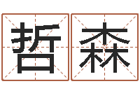 贾哲森季字的五行姓名解释-生辰八字测算吉日