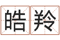 王皓羚中金岭南-阳宅风水视频