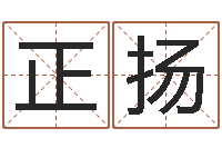 李正扬童子命年属鸡人的命运-华南算命取名软件命格大全