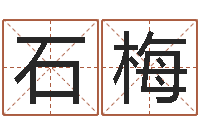 石梅还阴债年属兔的运程-名字测试关系