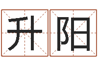 王升阳免费起名大全-生辰八字免费取名