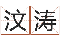 吴汶涛八字命理分析-周易名字测试打分