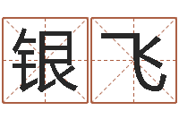 陈银飞绿化公司起名-杨公风水术