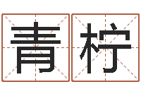 魏青柠马年生人还受生钱年运程-电脑免费婴儿取名